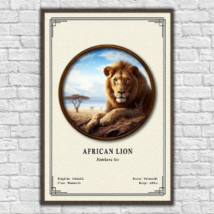 African Lion Zoologie Serie Poster