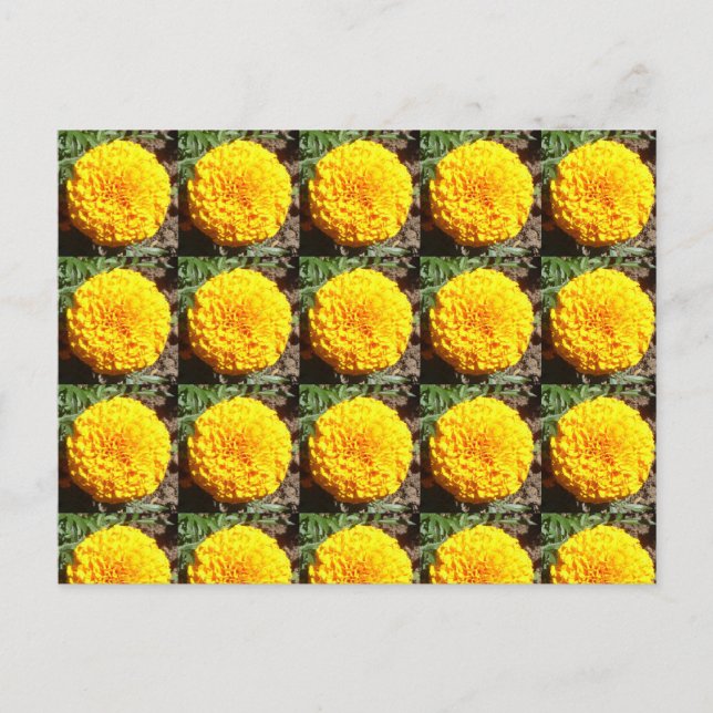 African Marigolds Pattern Postkarte (Vorderseite)