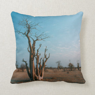 African Moringo Tree on Schlicht, Etosha National Kissen