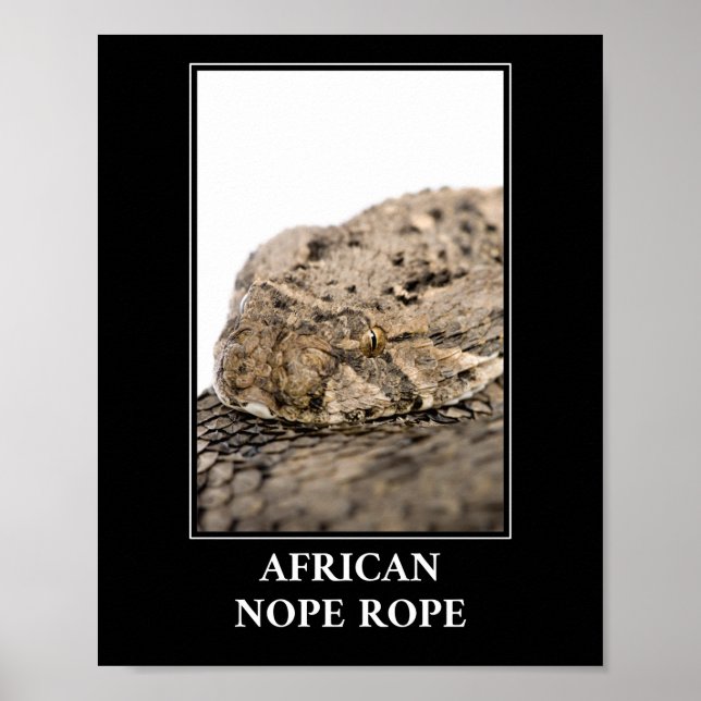 African Nope Rope - Puff adder Snake Danger Poster (Vorne)