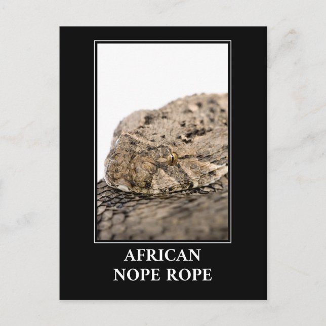 African Nope Rope - Puff adder Snake Danger Postkarte (Vorderseite)