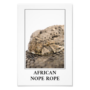 African Nope Rope - Puff Adder Snake Gefahr Fotodruck