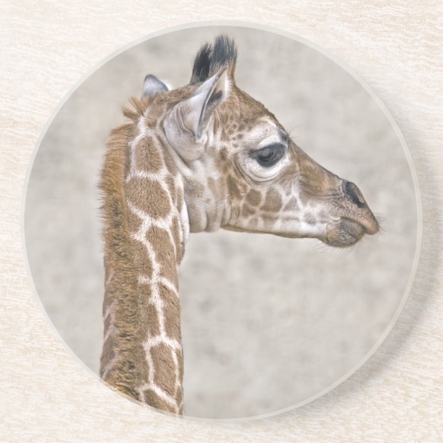 African Prince Untersetzer (Vorne)
