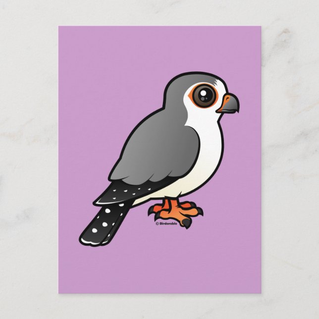 African Pygmy Falcon Postkarte (Vorderseite)