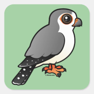 African Pygmy Falcon Quadratischer Aufkleber