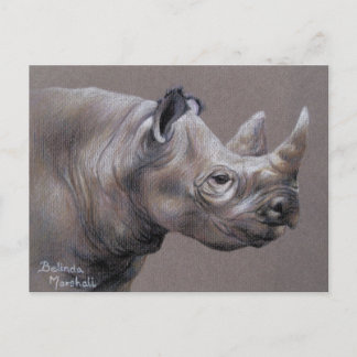 African Rhino Drawing Postcard Postkarte