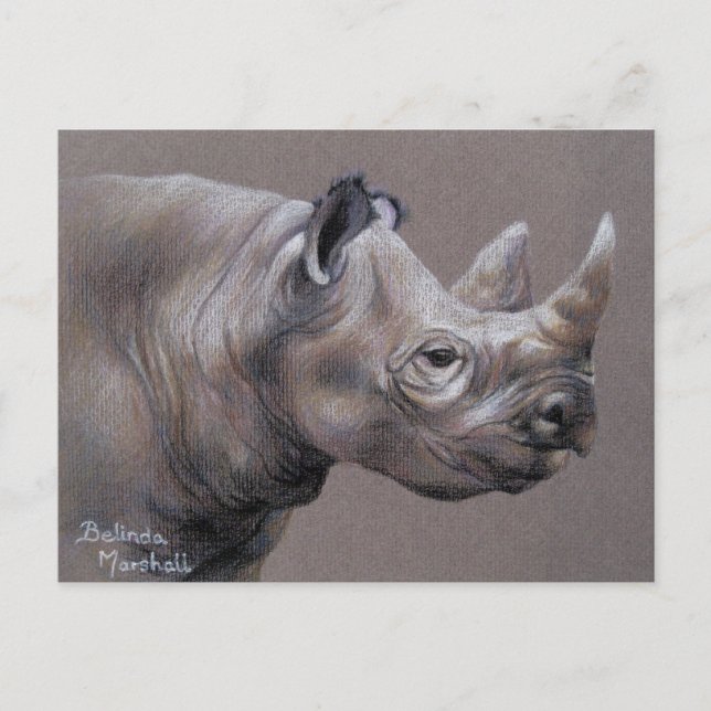 African Rhino Drawing Postcard Postkarte (Vorderseite)