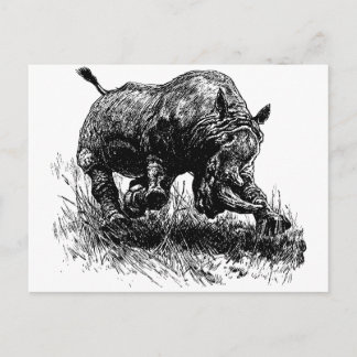 African Rhino Postkarte