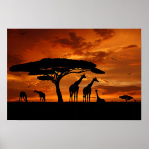 African Safari at Sunset Poster