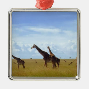 African Safari Giraffe: Kenya National Park Silbernes Ornament