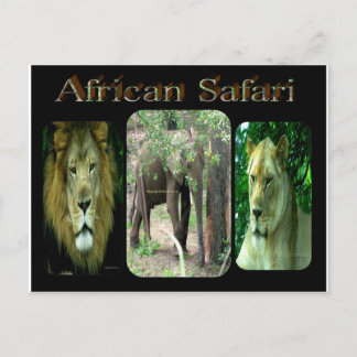 African Safari Postkarte