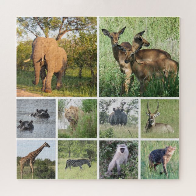 African Safari Puzzle (Horizontal)