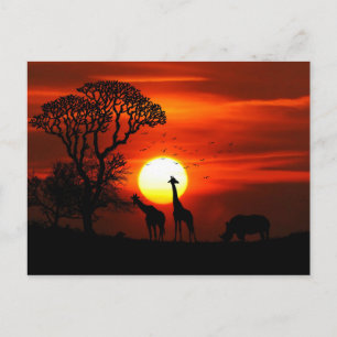 African Safari Sunset Animal Silhouetten Postkarte