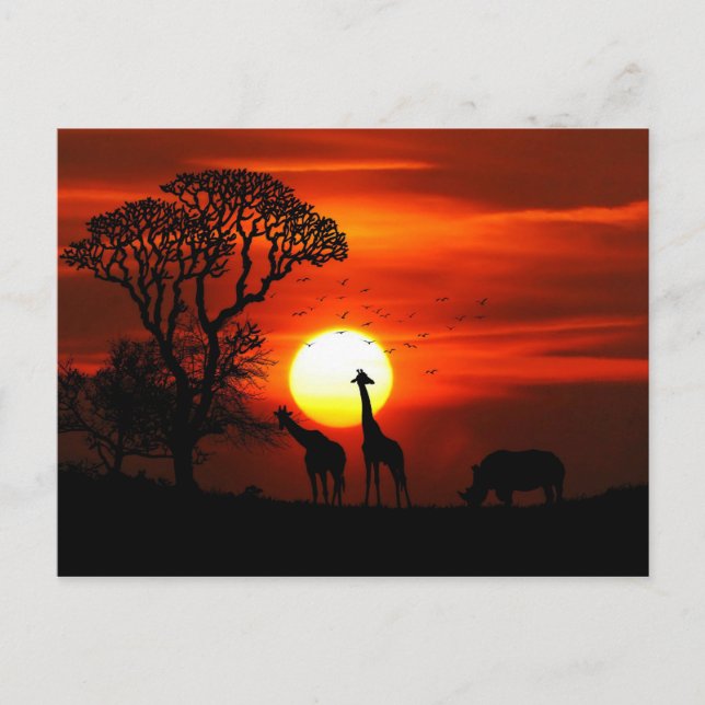 African Safari Sunset Animal Silhouetten Postkarte (Vorderseite)