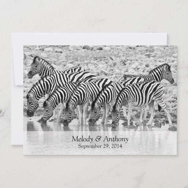 African Safari Zebra Wedding Einladung (Vorderseite)