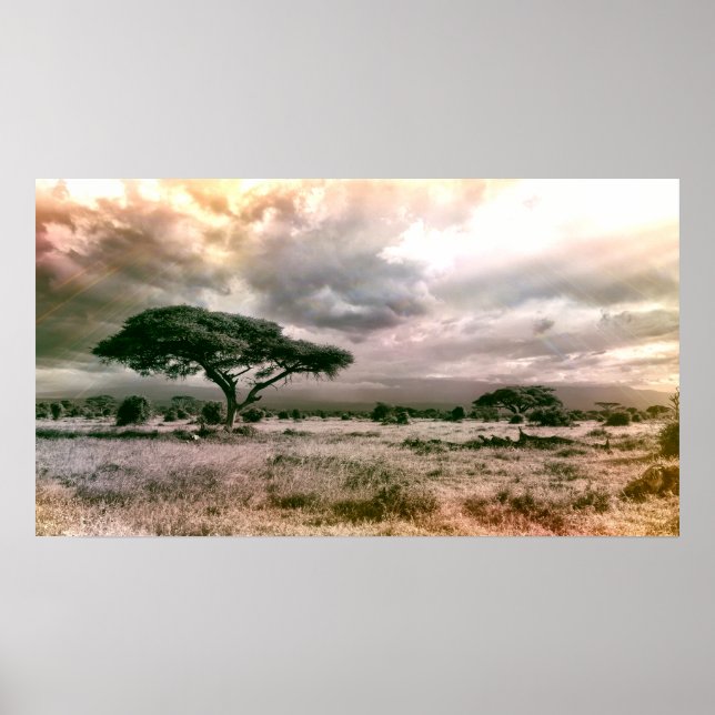 African Sahara Serengeti Savannah National Park Poster (Vorne)