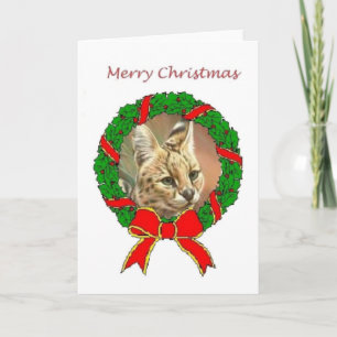African Serval Weihnachtskarte Feiertagskarte