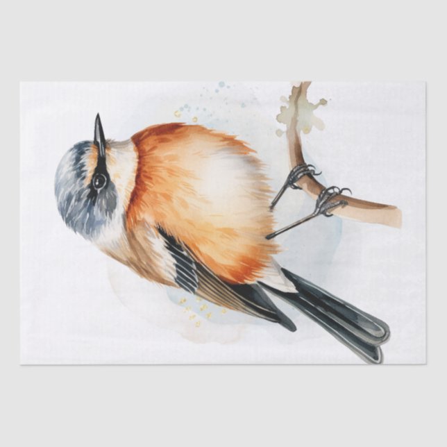 African Stonechat Bird Seidenpapier (Vorderseite)