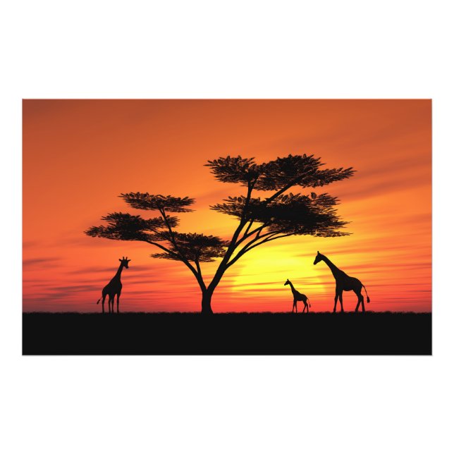 African Sunset Fotodruck (Vorne)