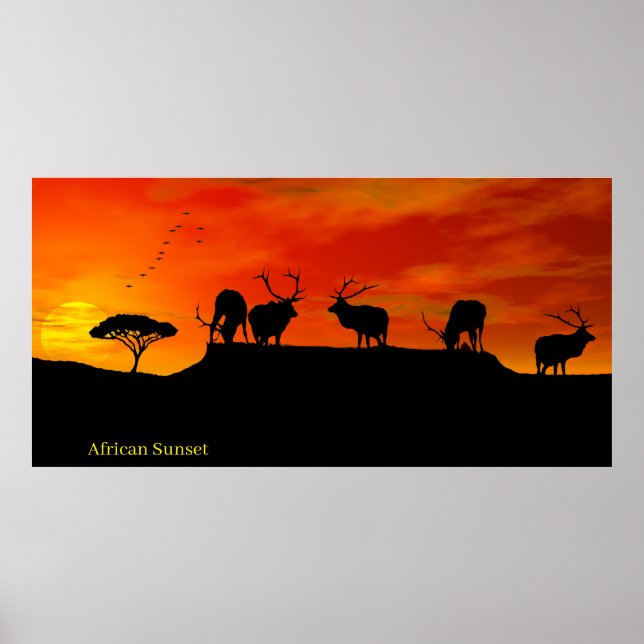 African Sunset Image for Poster (Vorne)