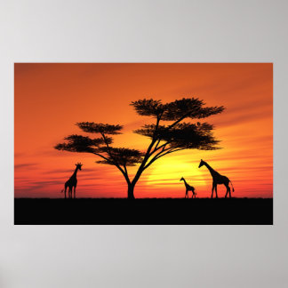 African Sunset Poster