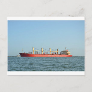 African Swan Bulk Carrier Postkarte