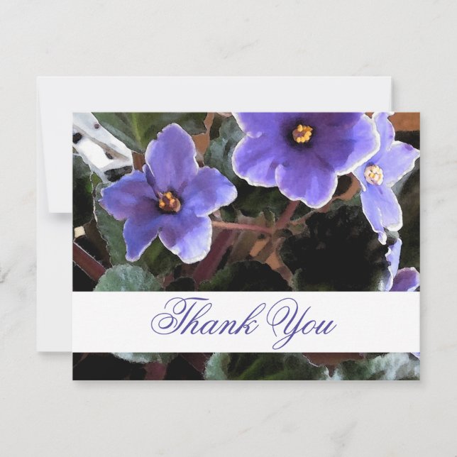 African Violet Vielen Dank Anmerkungen Floral Dankeskarte (Vorderseite)