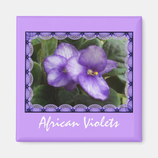 African Violets Magnet (Vorne)