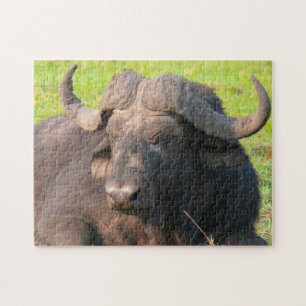 African Water Buffalo. Puzzle