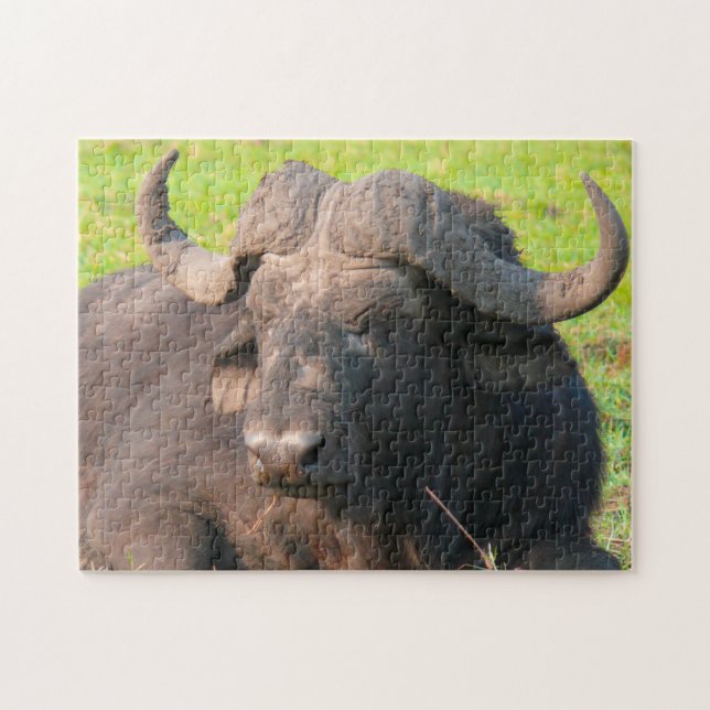 African Water Buffalo. Puzzle (Horizontal)