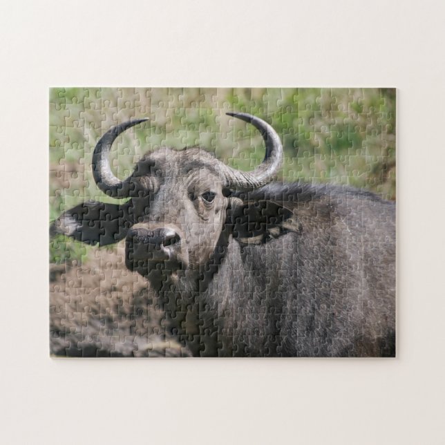African Water Buffalo Puzzle (Horizontal)