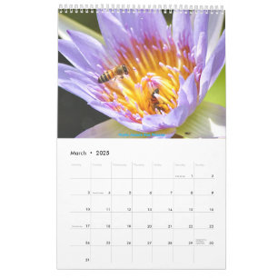 African Wildlife Calendar 2025 Kalender