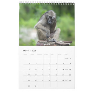 African Wildlife Calendar 2026 Kalender