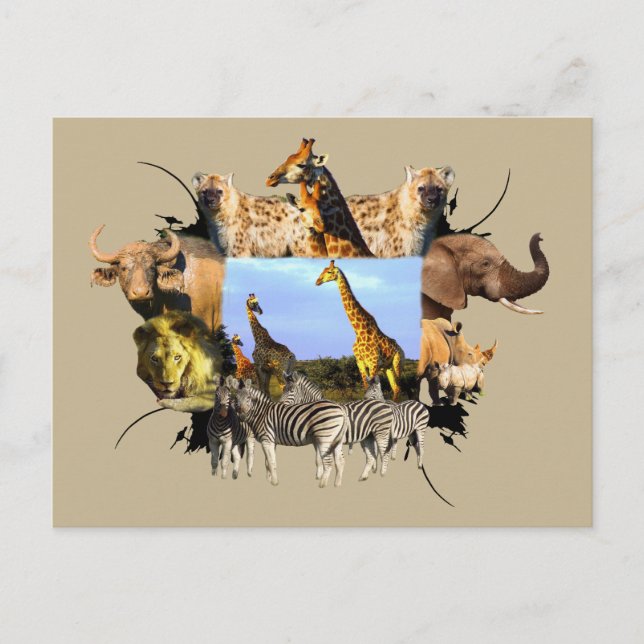 African Wildlife Frame Giraffe Herd Postkarte (Vorderseite)