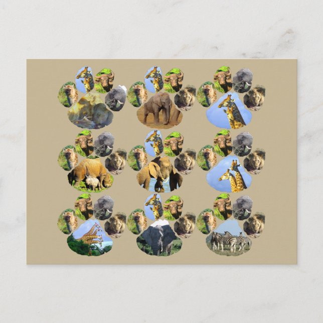 African Wildlife Lion Pawprint 9 Collage Postcard Postkarte (Vorderseite)