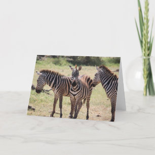 African Zebra Card Karte