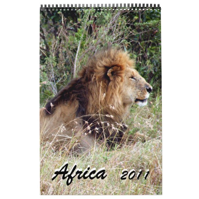 Afrika 2011 15 Monate Single Kalender (Titelbild)