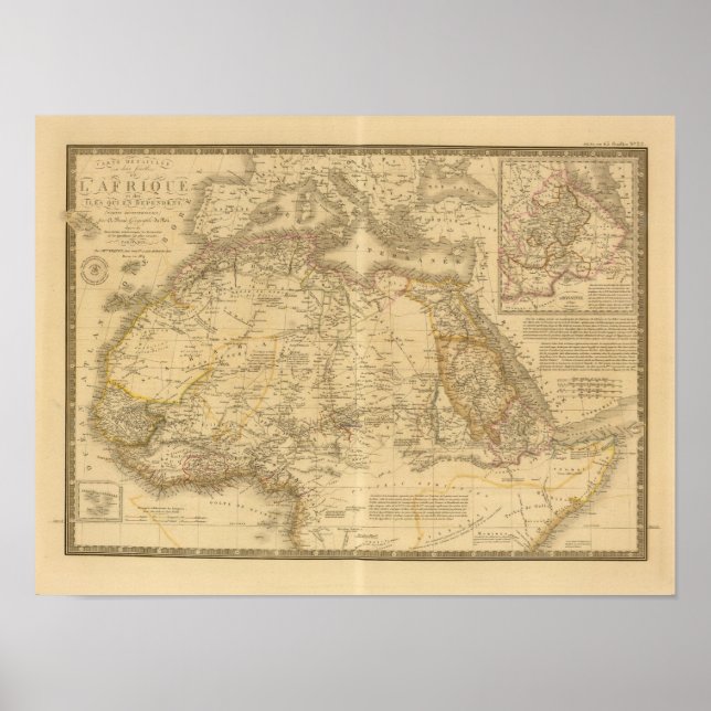 Afrika 20 poster (Vorne)