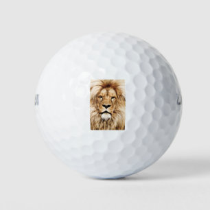 Afrika-Afrikanisches Tier-Löwe - Nah-up-Auge Golfball