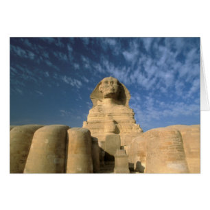 Afrika, Ägypten, Kairo, Gizeh-Plateau. Sphinx