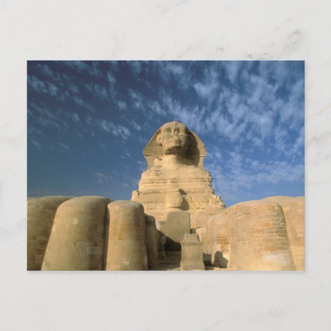 Afrika, Ägypten, Kairo, Gizeh-Plateau. Sphinx Postkarte (Vorderseite)