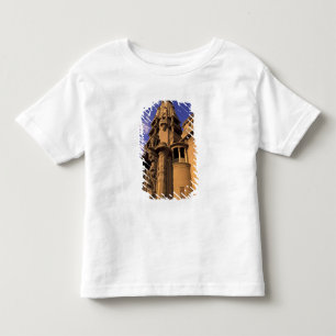 Afrika, Ägypten, Kairo, Heliopolis. Baron's Kleinkind T-shirt