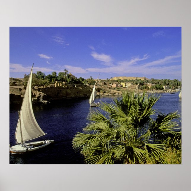 Afrika, Ägypten, Oberägypten, Assuan. Feluccas 2 Poster (Vorne)