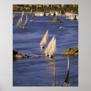 Afrika, Ägypten, Oberägypten, Assuan. Feluuken Poster