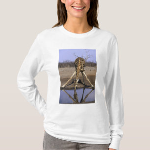 Afrika, Botsuana, Chobe National Park, Giraffe T-Shirt