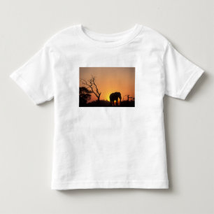 Afrika, Botsuana, Chobe-Nationalpark, Einstellung Kleinkind T-shirt