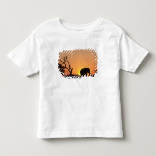 Afrika, Botsuana, Chobe-Nationalpark, Einstellung Kleinkind T-shirt