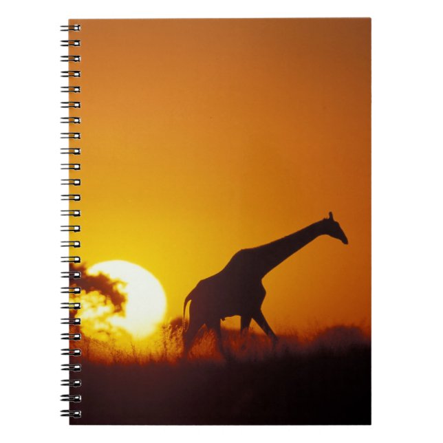 Afrika, Botsuana, Chobe-Nationalpark, Giraffe 2 Notizblock (Vorderseite)