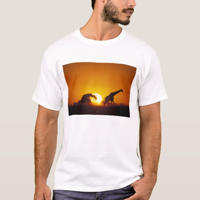 Afrika, Botsuana, Chobe-Nationalpark, Giraffe 2 T-Shirt (Vorderseite)