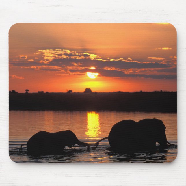 Afrika, Botsuana, Chobe-Nationalpark, Herde Mousepad (Vorne)